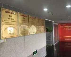 上海維情網絡科技股份 以網絡技術守護婚姻與情感